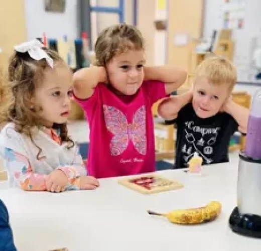 Westside-Montessori-School-Summer-Camp-Program-STEAM-Lesson-4